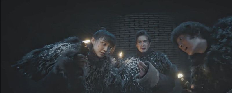 鹧鸪哨胳膊怎么断的