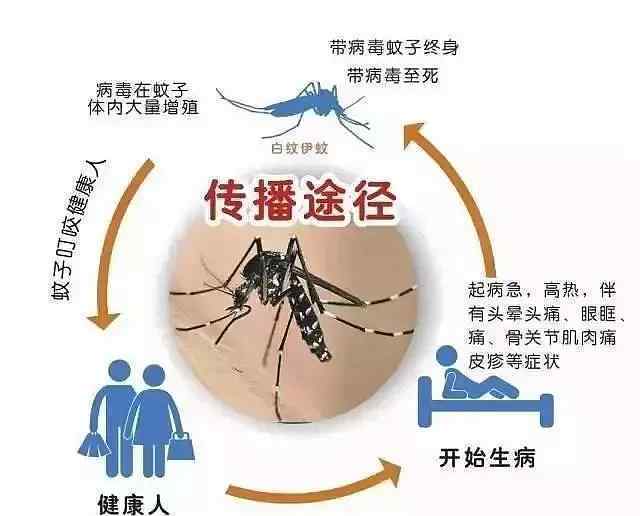 江苏句容出现1例登革热病例 哪些人群容易感染？