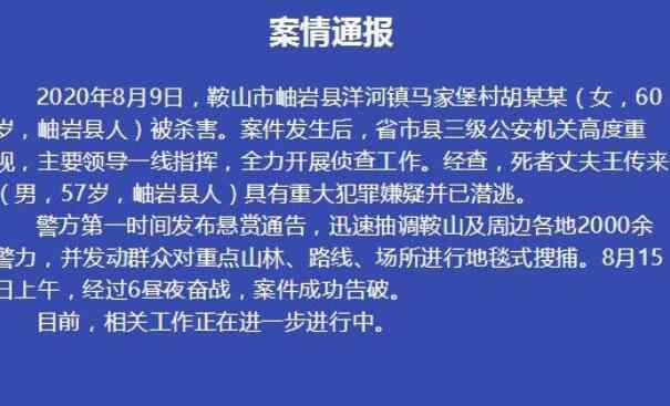 鞍山60岁女子被杀案告破 还原事件详情始末