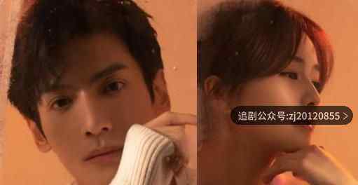 半是蜜糖半是伤电视剧免费观看 琪琪影院在线看