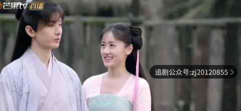 电视剧免费观看西瓜 在线播放高清完整版