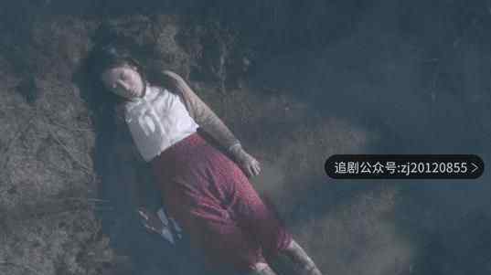 非常目击在线观看全集高清DVD版 免费泄露观看