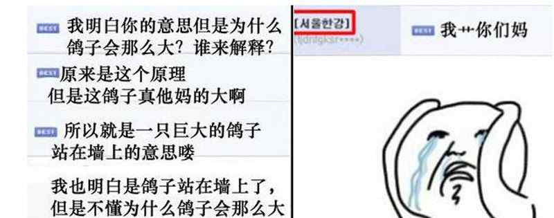 鸽子复读机真香什么梗