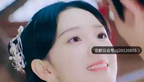 少女大人电视剧裴昭扮演者是谁 大结局裴昭苏瓷在一起了吗