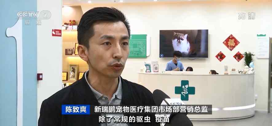 宠物医疗保险来了！一个月交33块 看病可赔付这些钱