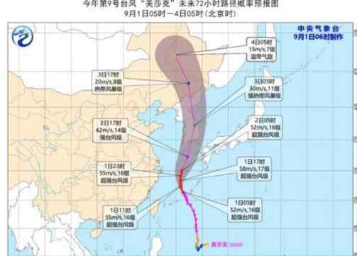 台风美莎克路径图实时更新预测 台风美莎克会到辽宁吗文章配图