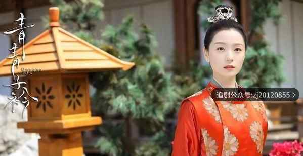 青青子衿在线观看免费全集 1-40集超清视频免费播放