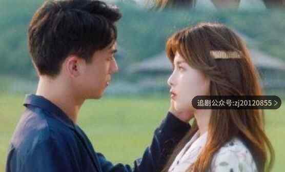 仲夏满天星全集高清在线观看 1到24集手机免费观看全集