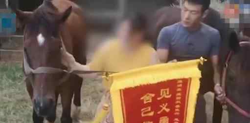 福建下海救人的两匹救命恩马去世 什么原因