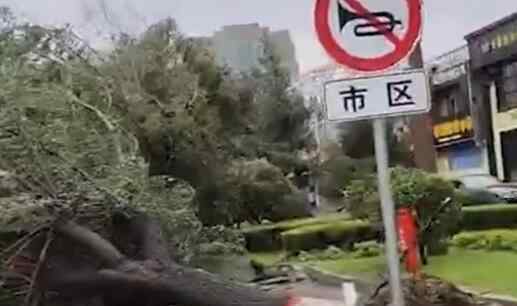 吉林珲春一房屋屋顶被台风掀翻 台风美莎克实时路径图