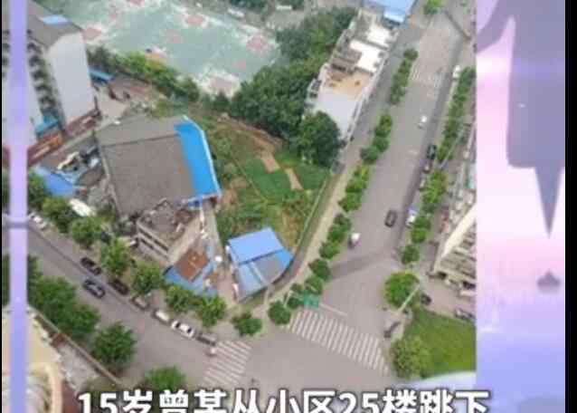 坠楼女生哥哥回应父亲冒死相接 15岁坠楼女孩曾抑郁症怎么回事