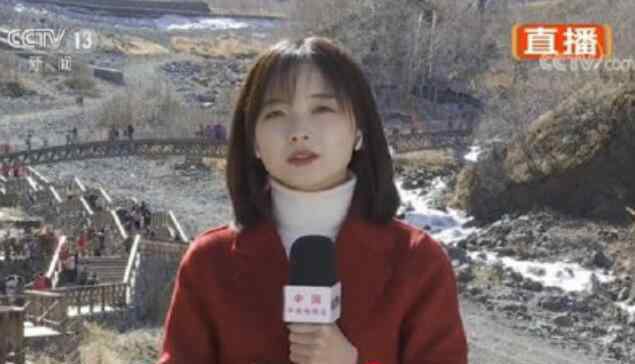 央视记者王冰冰个人资料简历年龄多大了 现场报道采访照片太美了