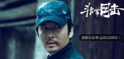 非常目击电视剧免费观看 1-12集策驰影院高清在线观看
