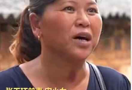 宋小女含泪说追责可以吗过分吗 张玉环案的真正凶手是谁