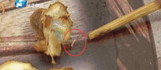 男子吃黄焖鸡一口下去感觉不对劲 拿筷子一拨瞬间头皮发麻