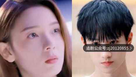 穿盔甲的少女电视剧在线观看 正版超清天天影视