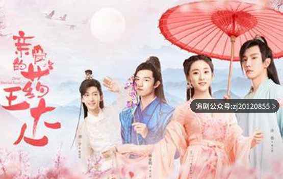 亲爱的药王大人电视剧在线免费观看 全集1-24集西瓜在线播放