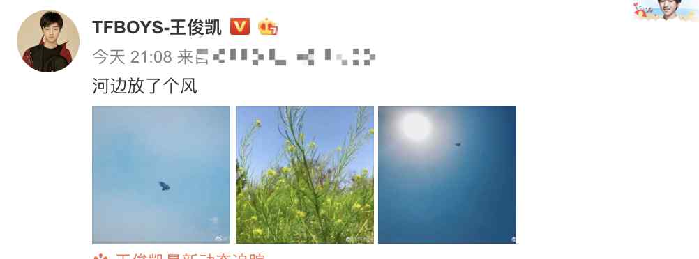 老鹰风筝图片 王俊凯出门放风筝并晒图，看到风筝形状，粉丝想到了《天坑鹰猎》文章配图