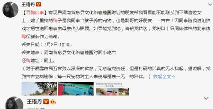 王珞丹发寻鸭启事 最新进展曝光人找到但鸭不在了