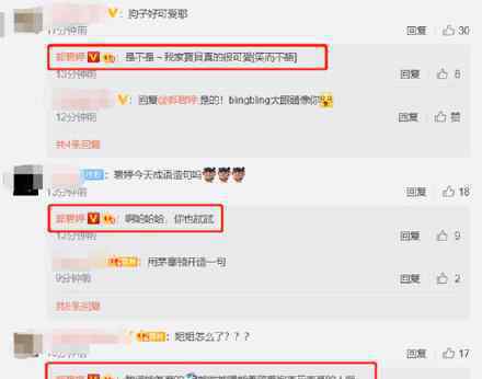 张歆艺儿子为金晨打call，全家上阵应援方式逗笑众人郭碧婷关评论发文还很有深意，是怀孕了情绪不稳？