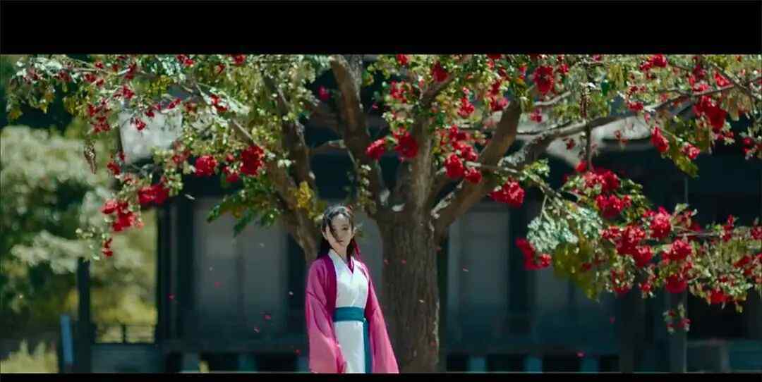 无名狂什么时候上映 免费观看电影无名狂
