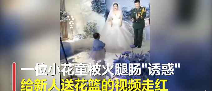 太可爱！小花童送婚礼戒指走一半不动了 姥姥在一旁用火腿肠“诱惑”