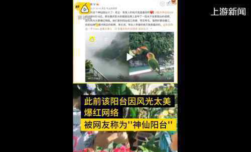 神仙阳台房主衣服晾1个月未干 空气潮湿“仙气”太足