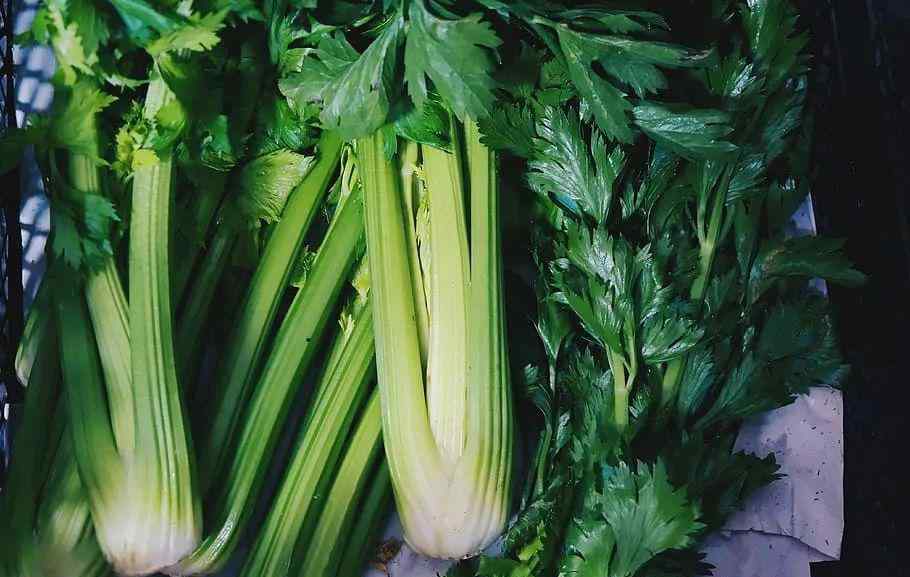 药芹 有“药芹”之称的芹菜有5个隐藏的“角色”，你知道吗？文章配图