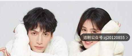 半是蜜糖半是伤电视剧免费观看 西瓜视频手机在线播放