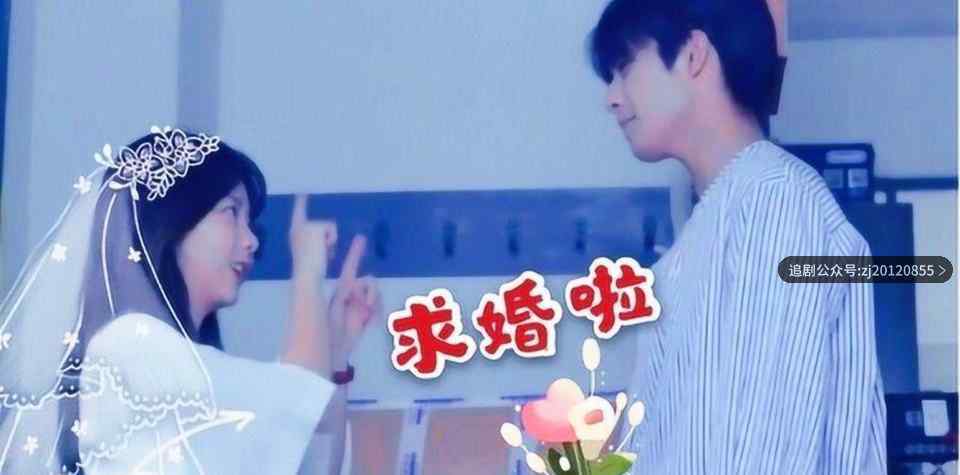 以家人之名电视剧在线观看免费 40全集超前点播资源西瓜播放器播放