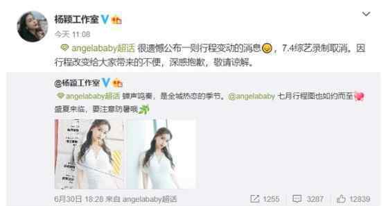 Angelababy：说实话有点失望 疑因小海绵取消创造营总决赛被粉丝骂