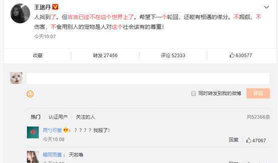 王珞丹称吉吉已不在人世上热搜 吉吉原来是只宠物鸭？