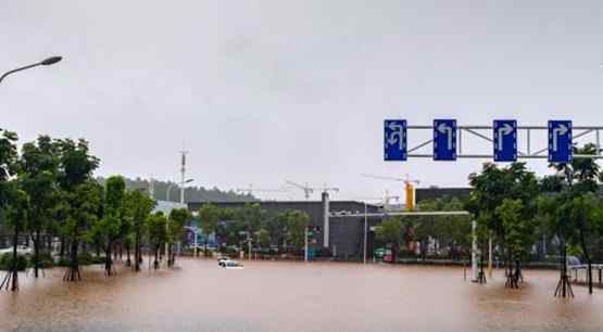 11省市区暴雨黄色预警 暴雨天如何防范（附防御准备详情）