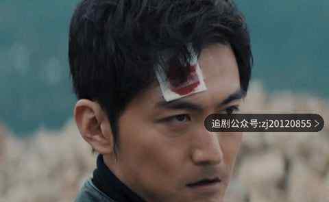 非常目击全集在线播放 免费观看完整版视频