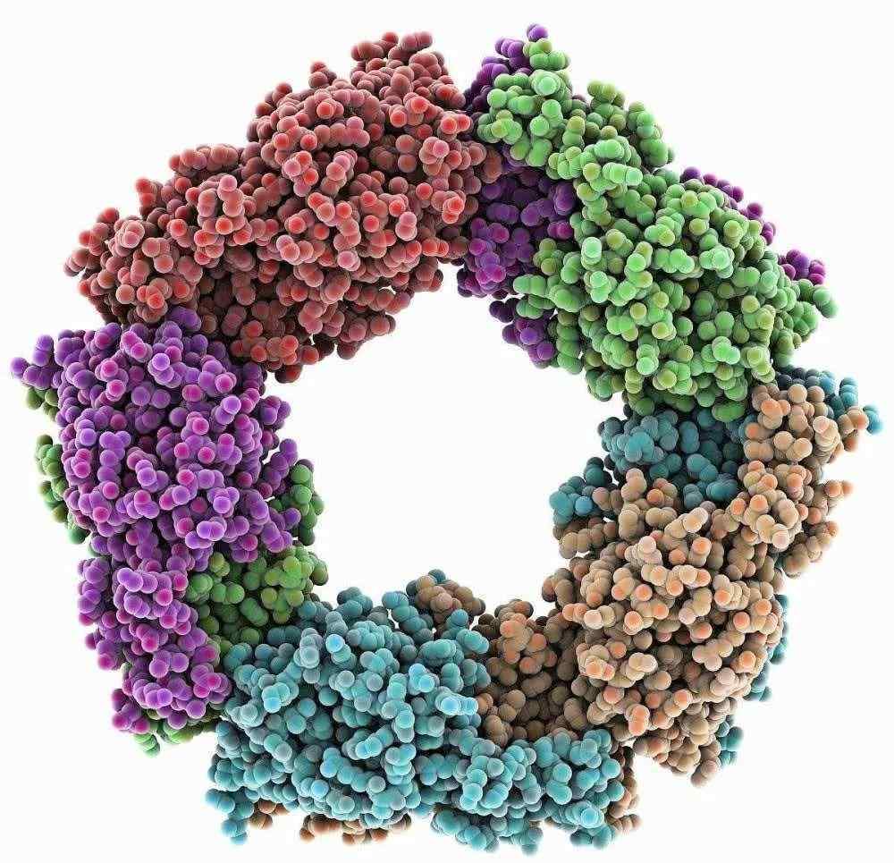 dpph自由基 人体衰老的根源:自由基