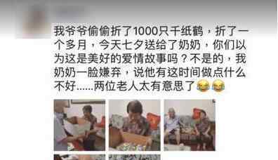 爷爷折千只千纸鹤送奶奶遭嫌弃 网友：没想到是搞笑剧情