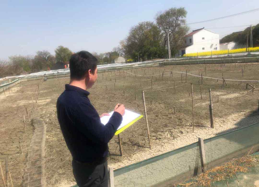 金坛网 金坛所有交通建设工程全面复工  金坛网  昨天