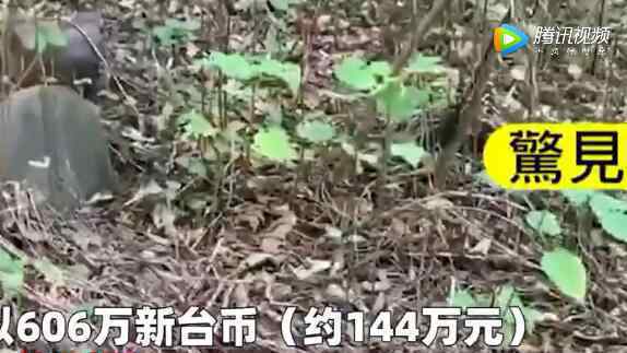 女子花144万元购买别墅 入住后发现旁边树林中一幕当场崩溃