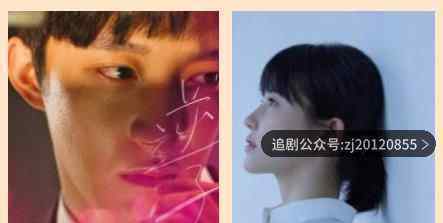 电视剧在线观看 1-24全集黑蚂蚁影院免费