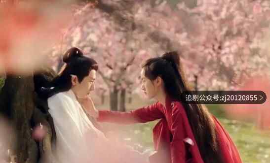 琉璃美人煞全集免费播放 完整版电视剧在线观看