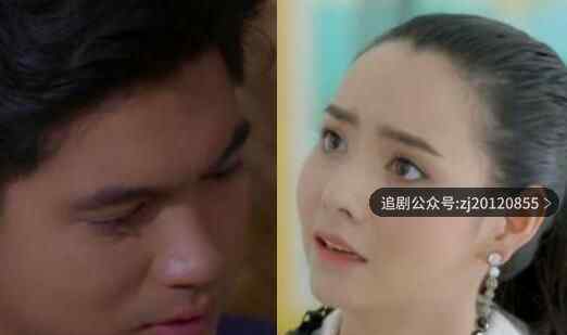 情链泰剧一共多少集分集剧情介绍 在线观看全集完整版