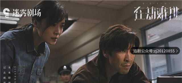 在劫难逃在线观看 1-12集全策驰影院免费播放