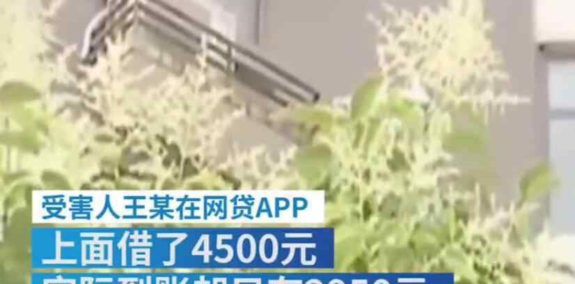 犯罪团伙P裸照灵堂照疯狂催债 事件具体详情是什么