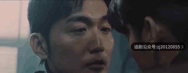 电视剧在线观看 1-12集全策驰影院免费看