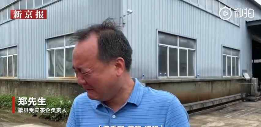 歙县洪灾茶企3000吨茶叶被泡 负责人失声痛哭 现场画面曝光