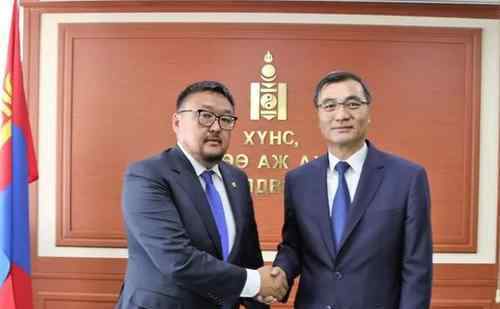 蒙古国正式启动3万只羊捐赠程序 感动的眼泪从嘴里流了出来