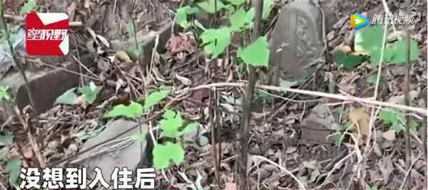 女子花144万元购买别墅 入住后发现旁边树林中一幕当场崩溃