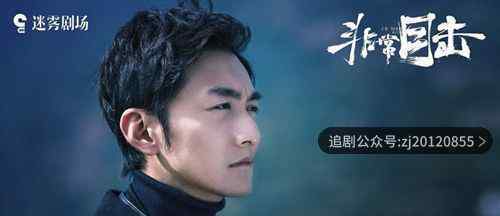 非常目击电视剧免费观看 1-12集策驰影院高清在线观看