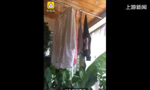 神仙阳台房主衣服晾1个月未干 空气潮湿“仙气”太足