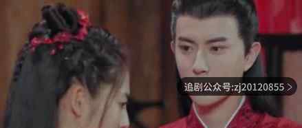 明月曾照江东寒电视剧免费观看 全集超清在线看